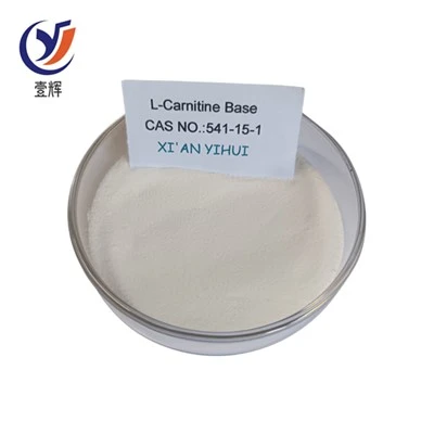 L-Carnitine Base Pouwder
